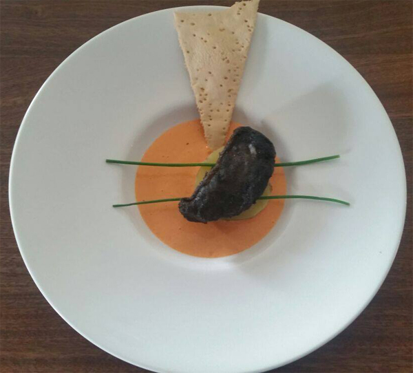 12291291_867620590020448_5952902970654551850_o