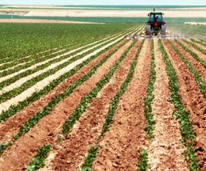 10617_maquinaria_agricola